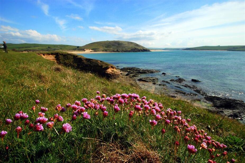 Rock To Polzeath Circular Walk