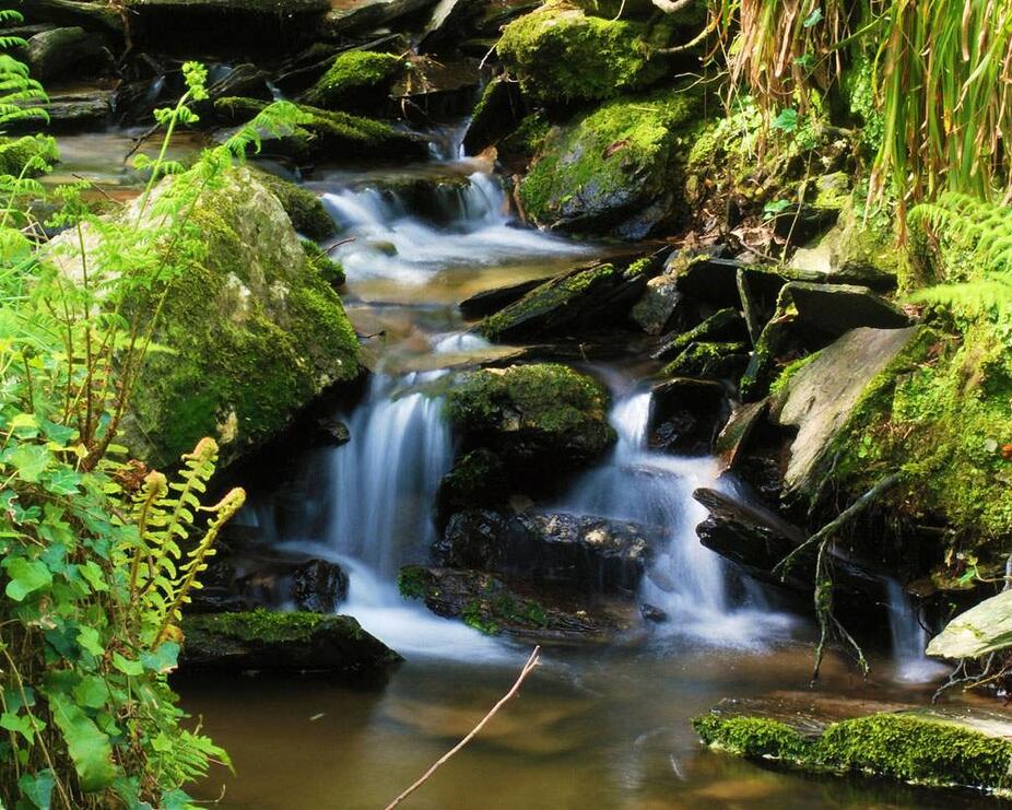 Circular walk around Trebarwith Valley