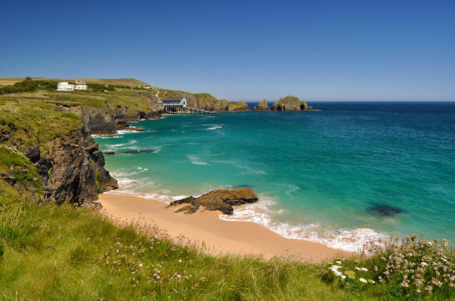 Mother Ivey's Bay - circular walks