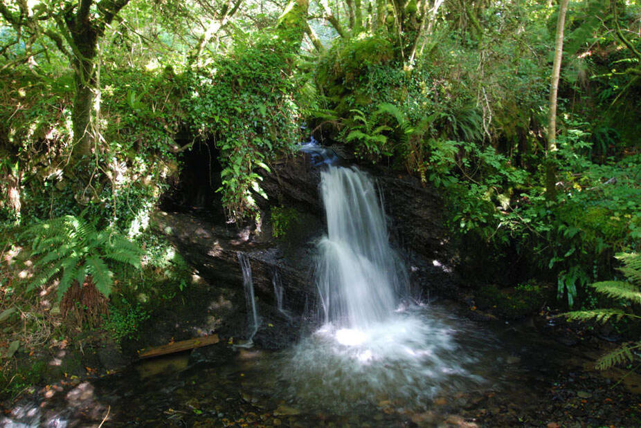 Circular walk from St Clether to the Rising Sun