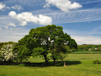 iWalk Cornwall - quality circular walks in Cornwall